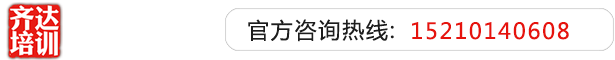 大鸡巴插小骚逼视频齐达艺考文化课-艺术生文化课,艺术类文化课,艺考生文化课logo